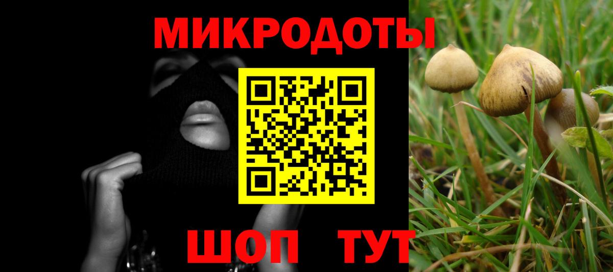 Псилоцибиновые грибы GOLDEN TEACHER Павловский Посад